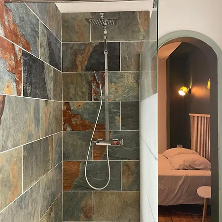 Apartment De Charme Au Coeur D Albi