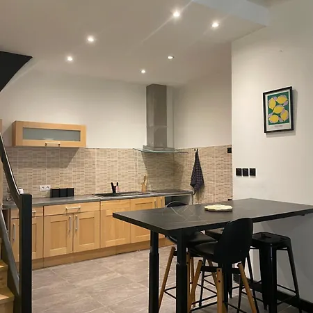 Apartment De Charme Au Coeur D Albi