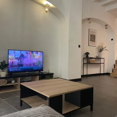 Apartment De Charme Au Coeur D Albi